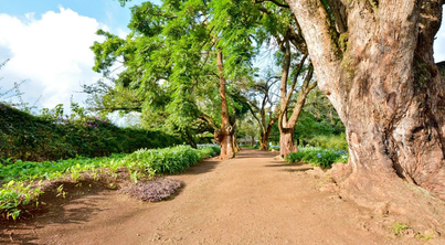Sam Njoroge